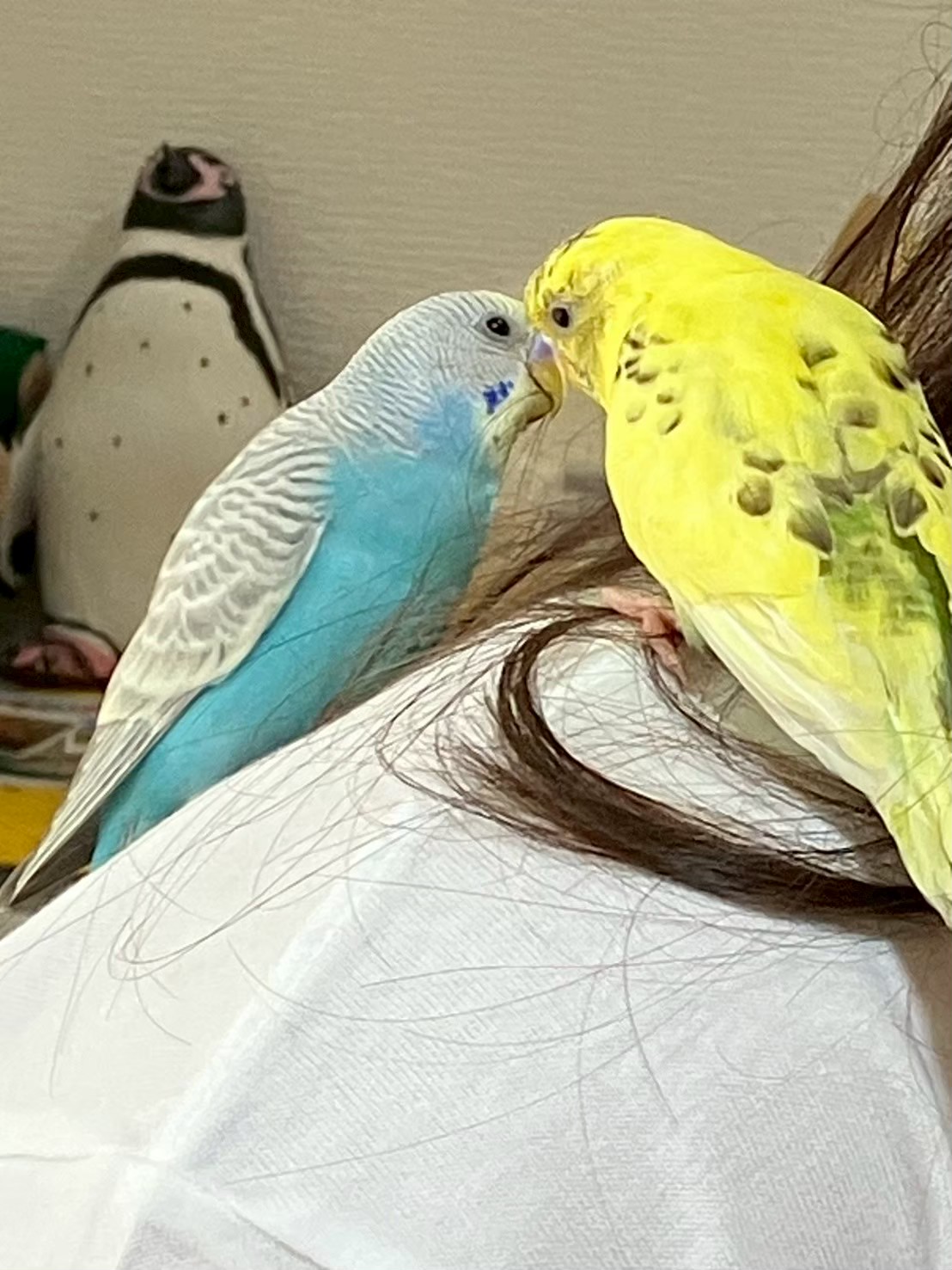 しょうそら